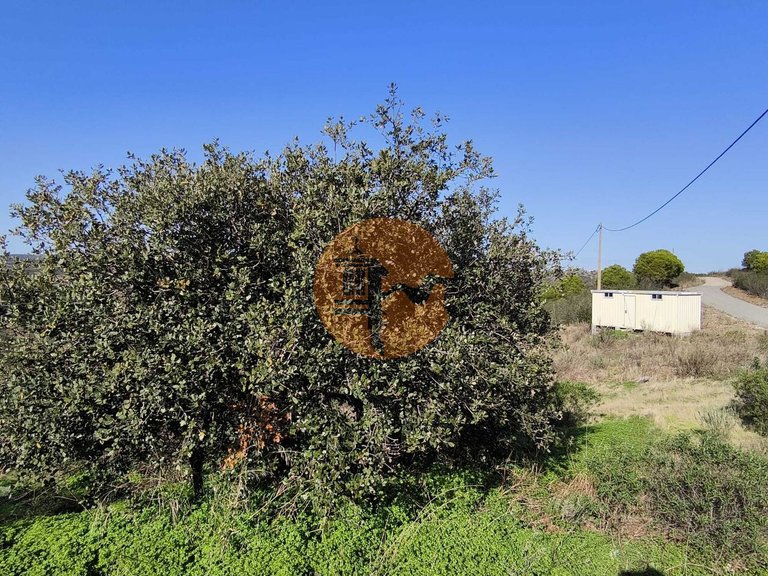 Plot for Sale in Azinhal, Castro Marim, Portugal 15