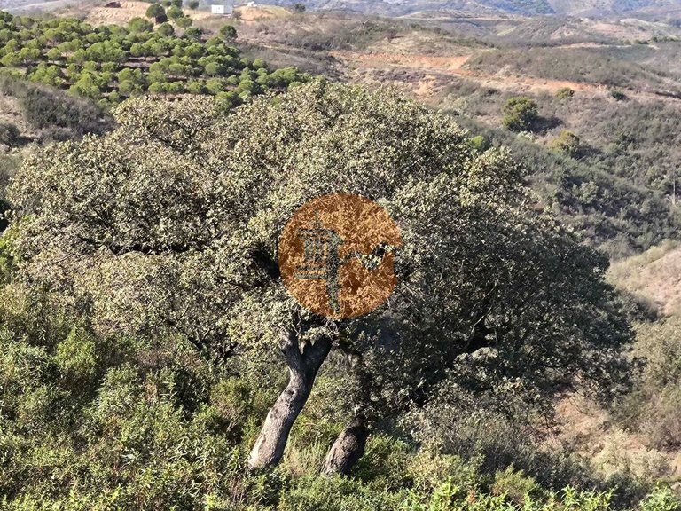 Plot for Sale in Azinhal, Castro Marim, Portugal 18