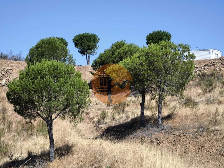 Plot for Sale in Azinhal, Castro Marim, Portugal 1