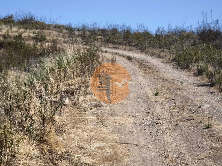 Plot for Sale in Azinhal, Castro Marim, Portugal 7