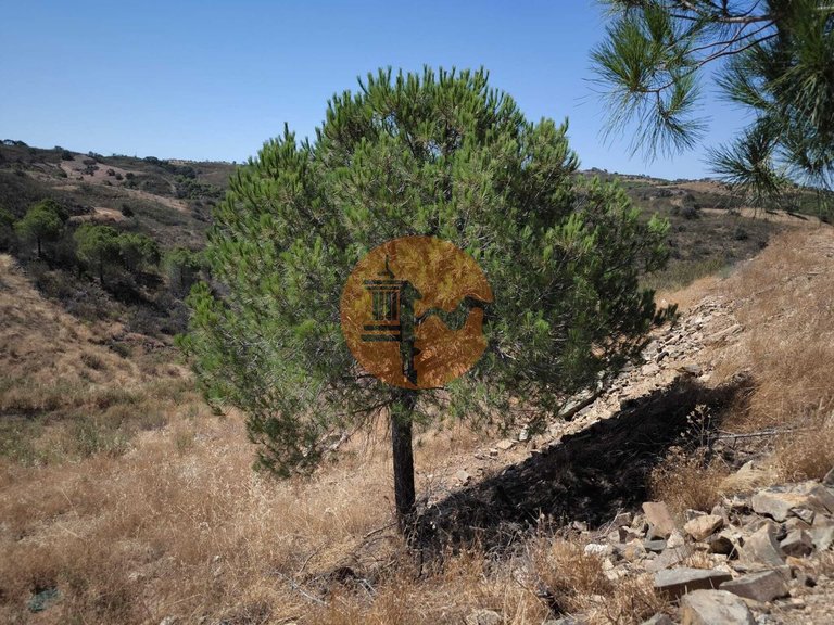Plot for Sale in Azinhal, Castro Marim, Portugal 16