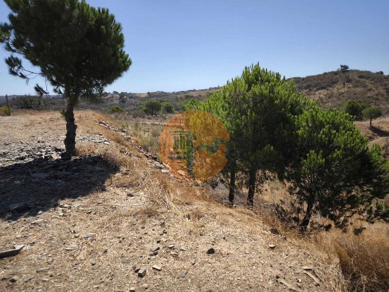 Plot for Sale in Azinhal, Castro Marim, Portugal 17