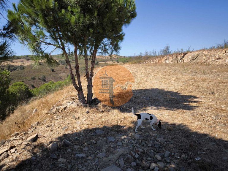 Plot for Sale in Azinhal, Castro Marim, Portugal 18