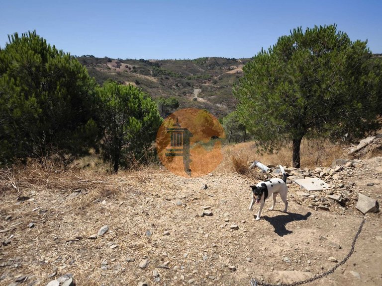 Plot for Sale in Azinhal, Castro Marim, Portugal 23