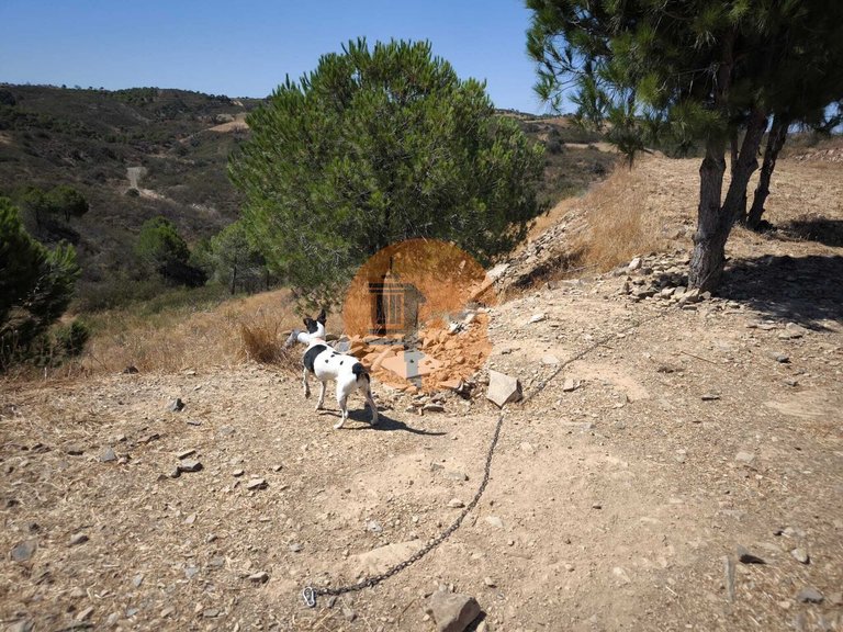 Plot for Sale in Azinhal, Castro Marim, Portugal 25