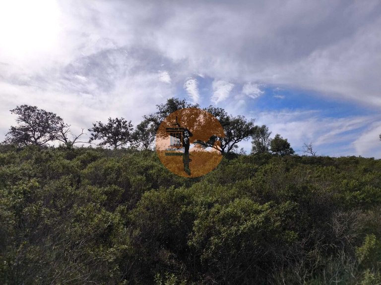 Plot for Sale in Odeleite, Castro Marim, Portugal 1