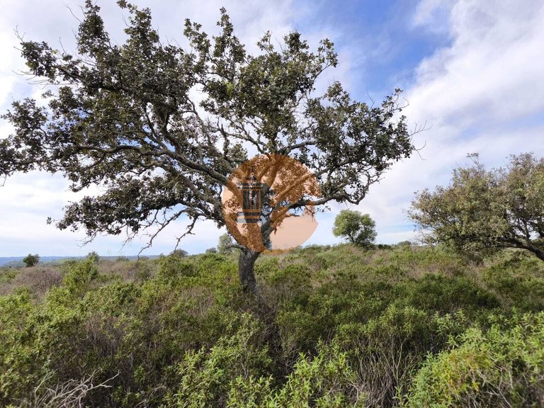 Plot for Sale in Odeleite, Castro Marim, Portugal 10