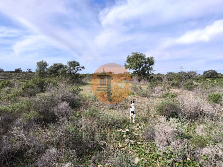 Plot for Sale in Odeleite, Castro Marim, Portugal 11