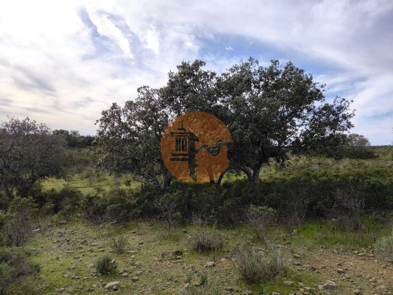Plot for Sale in Odeleite, Castro Marim, Portugal 12