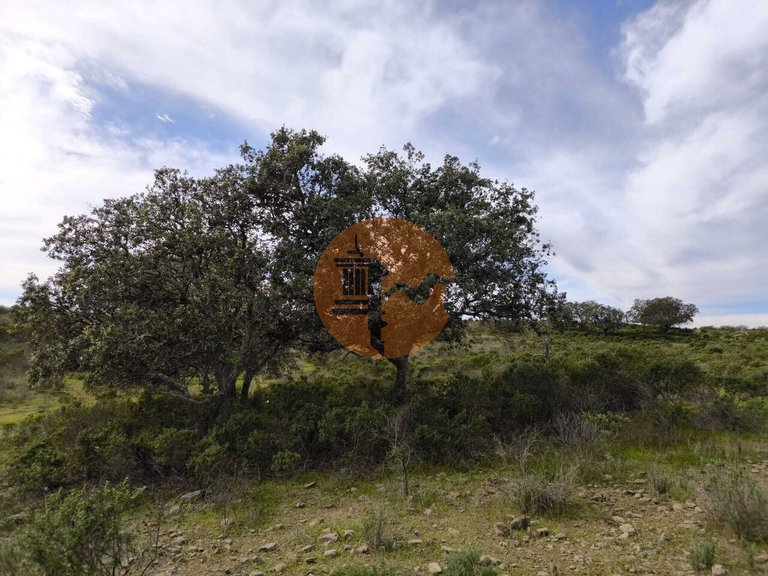 Plot for Sale in Odeleite, Castro Marim, Portugal 14