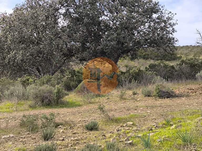 Plot for Sale in Odeleite, Castro Marim, Portugal 4