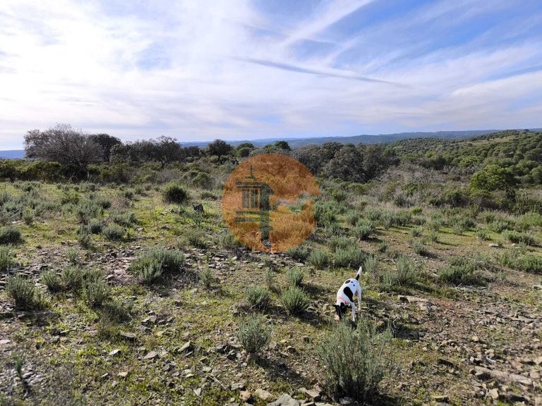 Plot for Sale in Odeleite, Castro Marim, Portugal 5