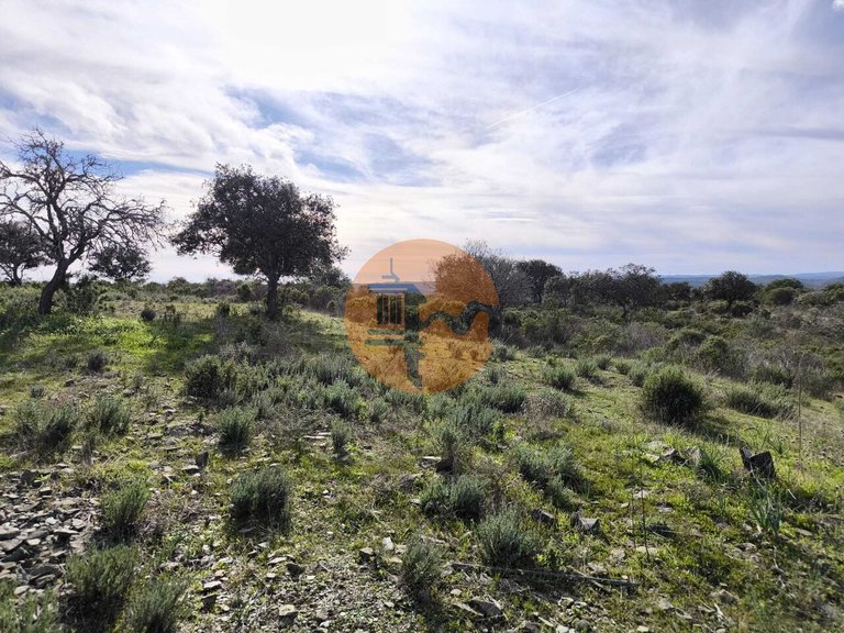 Plot for Sale in Odeleite, Castro Marim, Portugal 1