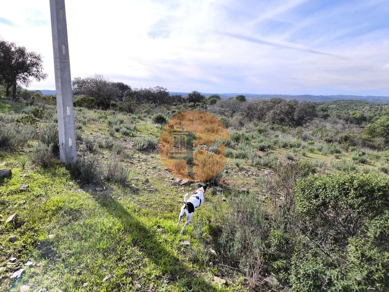 Plot for Sale in Odeleite, Castro Marim, Portugal 7