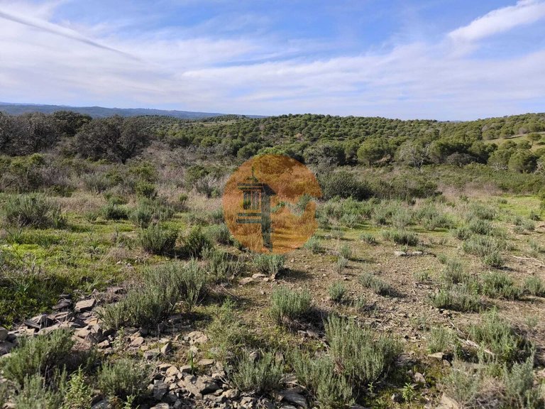 Plot for Sale in Odeleite, Castro Marim, Portugal 9
