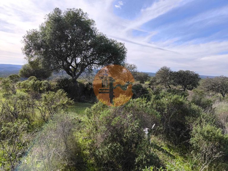 Plot for Sale in Odeleite, Castro Marim, Portugal 13