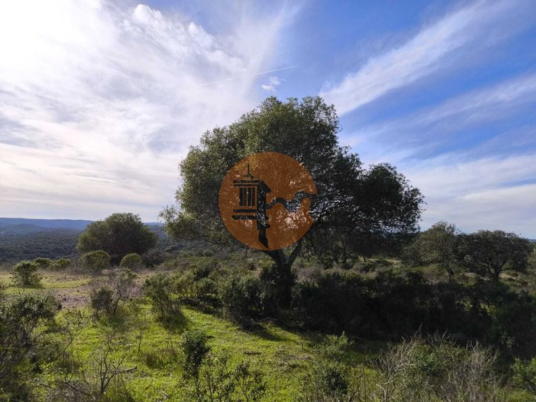 Plot for Sale in Odeleite, Castro Marim, Portugal 14