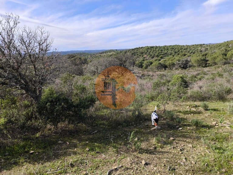 Plot for Sale in Odeleite, Castro Marim, Portugal 15