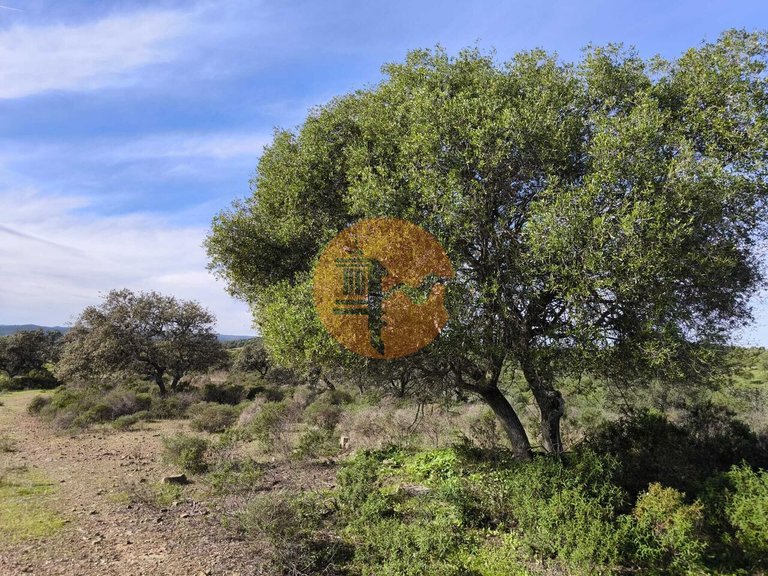 Plot for Sale in Odeleite, Castro Marim, Portugal 16