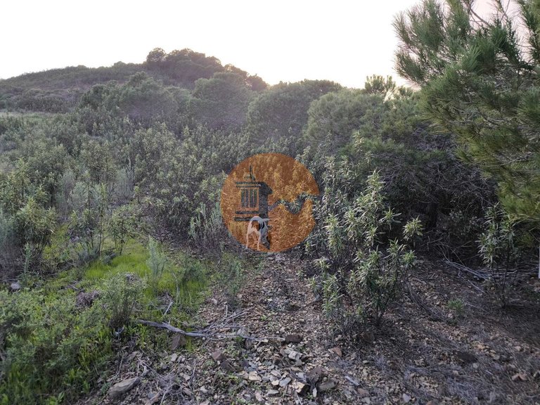 Plot for Sale in Azinhal, Castro Marim, Portugal 37