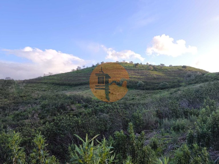 Plot for Sale in Azinhal, Castro Marim, Portugal 9