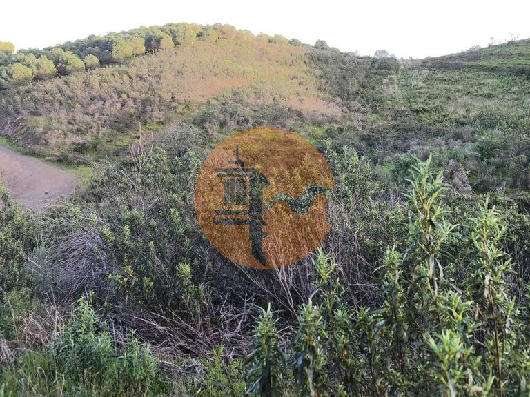 Plot for Sale in Azinhal, Castro Marim, Portugal 12