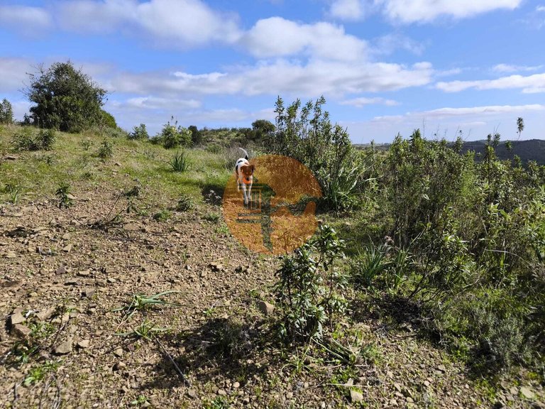 Plot for Sale in Azinhal, Castro Marim, Portugal 27