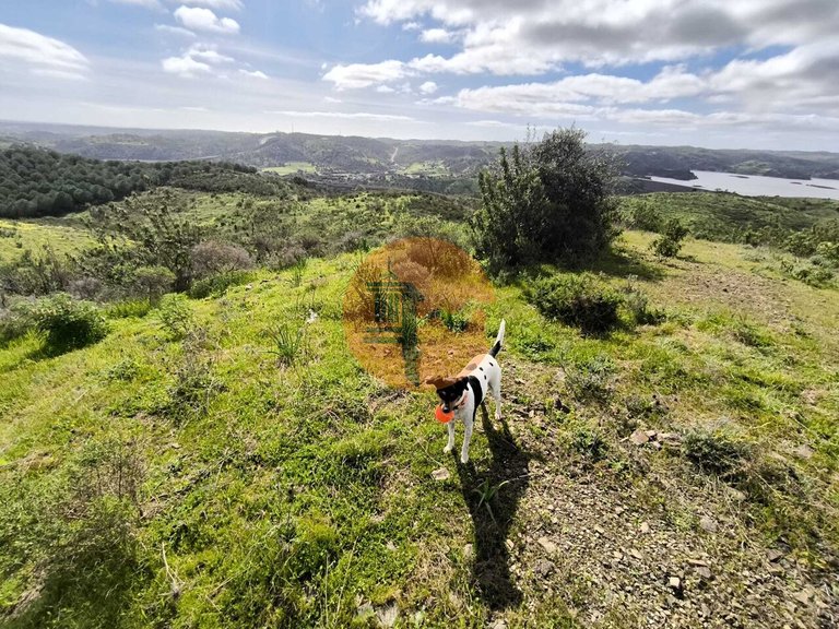 Plot for Sale in Azinhal, Castro Marim, Portugal 5