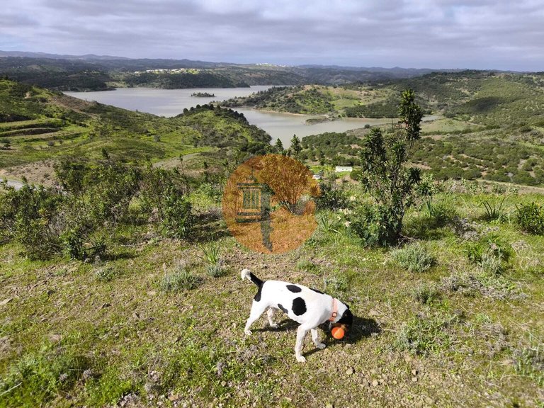 Plot for Sale in Azinhal, Castro Marim, Portugal 8