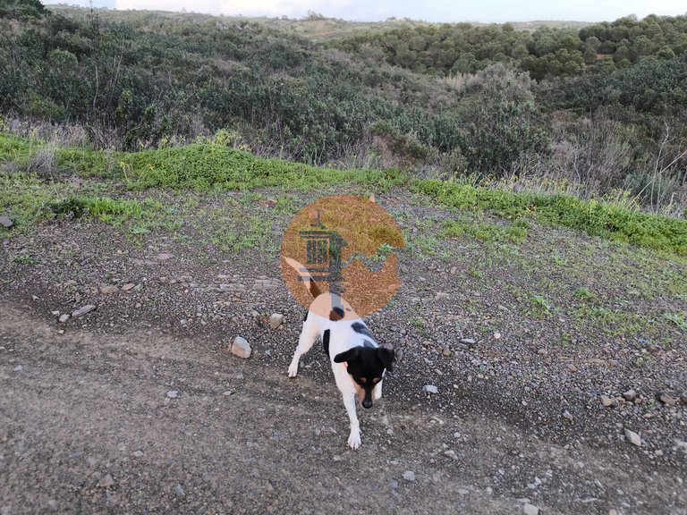 Plot for Sale in Azinhal, Castro Marim, Portugal 18