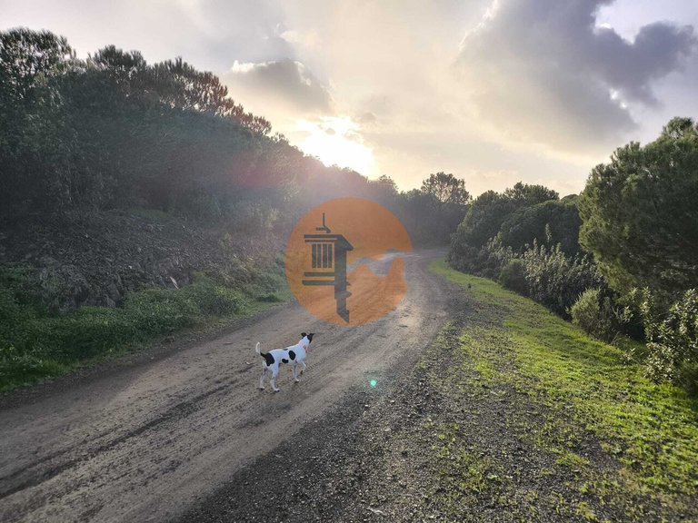 Plot for Sale in Azinhal, Castro Marim, Portugal 22