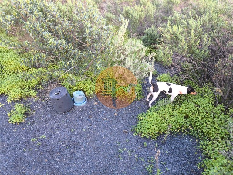 Plot for Sale in Azinhal, Castro Marim, Portugal 28