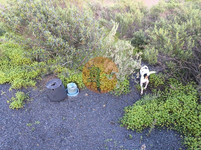 Plot for Sale in Azinhal, Castro Marim, Portugal 29