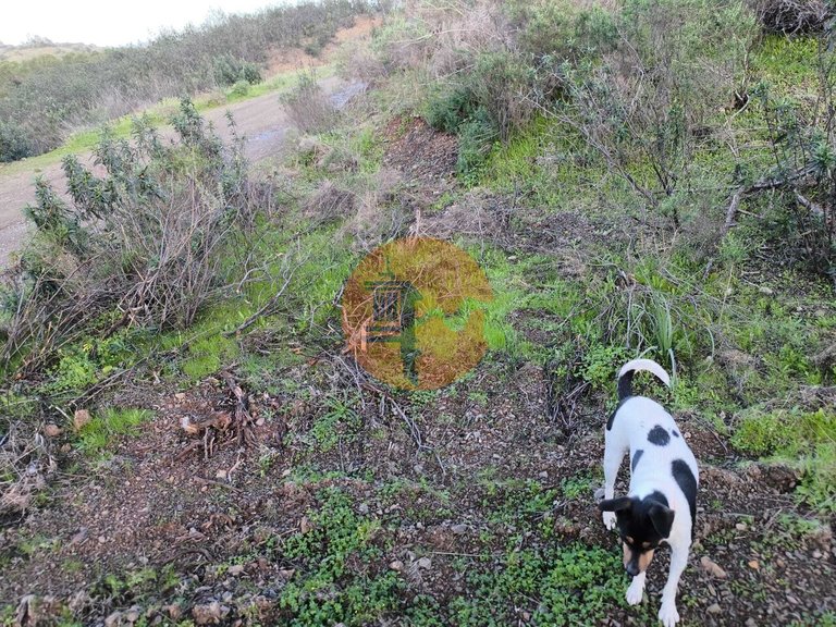 Plot for Sale in Azinhal, Castro Marim, Portugal 30