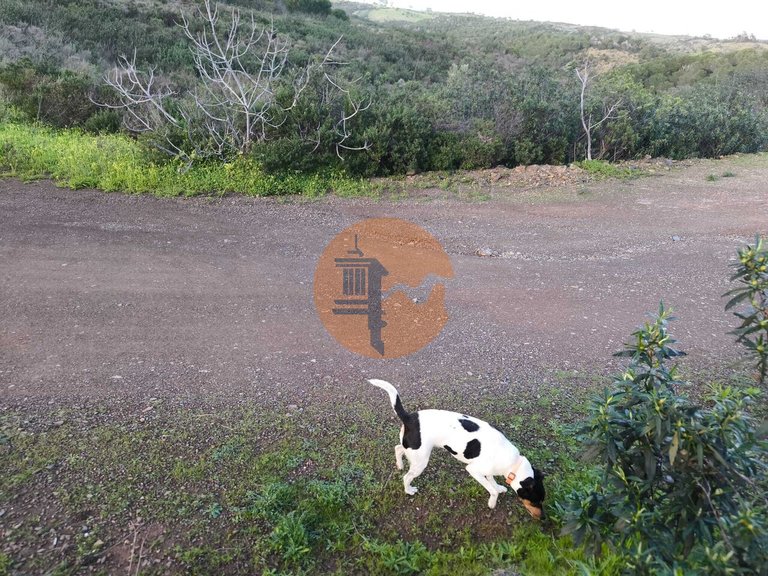 Plot for Sale in Azinhal, Castro Marim, Portugal 32
