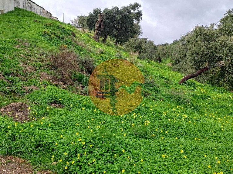 Plot for Sale in Santa Catarina Da Fonte Do Bispo, Tavira, Portugal 1