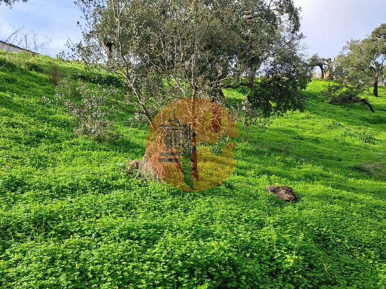 Plot for Sale in Santa Catarina Da Fonte Do Bispo, Tavira, Portugal 2