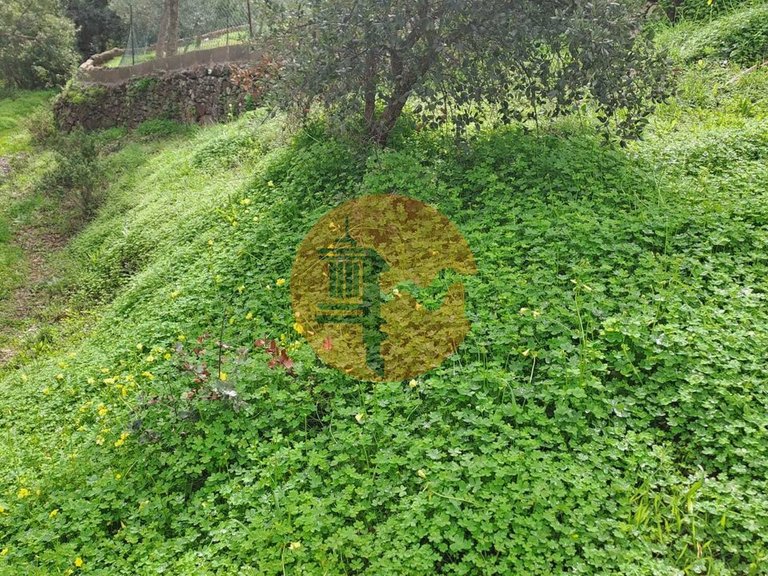 Plot for Sale in Santa Catarina Da Fonte Do Bispo, Tavira, Portugal 4