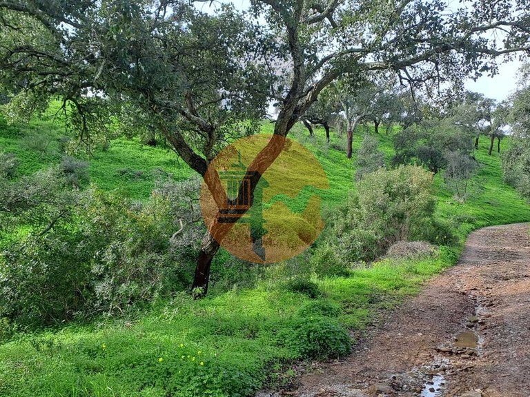Plot for Sale in Santa Catarina Da Fonte Do Bispo, Tavira, Portugal 5