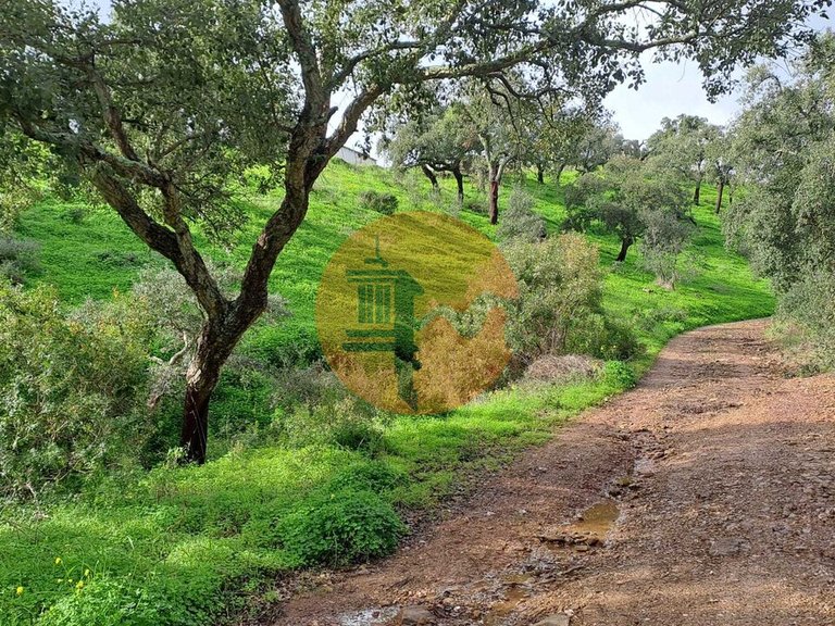 Plot for Sale in Santa Catarina Da Fonte Do Bispo, Tavira, Portugal 8