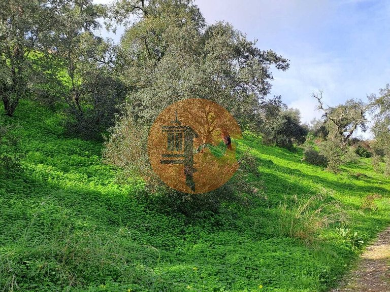 Plot for Sale in Santa Catarina Da Fonte Do Bispo, Tavira, Portugal 9