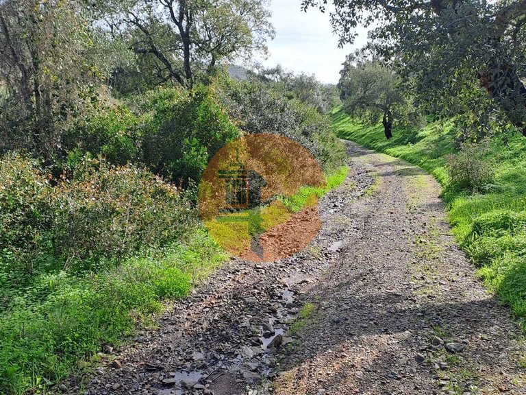 Plot for Sale in Santa Catarina Da Fonte Do Bispo, Tavira, Portugal 11