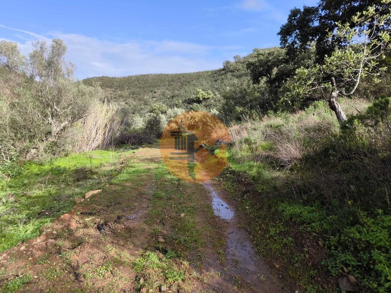 Plot for Sale in Azinhal, Castro Marim, Portugal 12