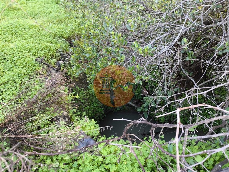 Plot for Sale in Azinhal, Castro Marim, Portugal 17