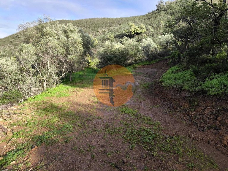 Plot for Sale in Azinhal, Castro Marim, Portugal 19