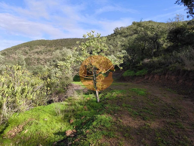 Plot for Sale in Azinhal, Castro Marim, Portugal 21