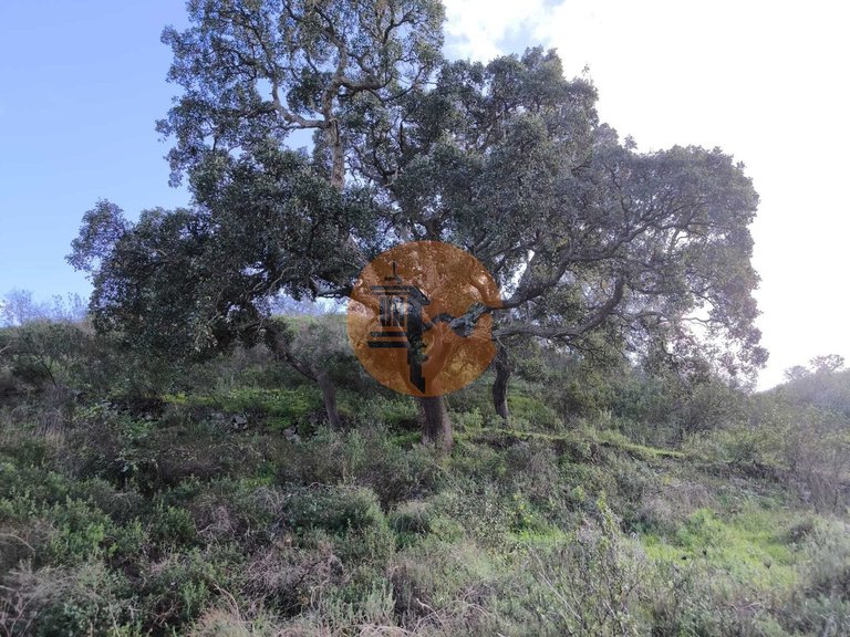 Plot for Sale in Azinhal, Castro Marim, Portugal 4