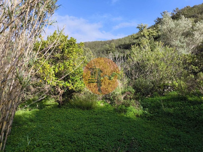 Plot for Sale in Azinhal, Castro Marim, Portugal 23