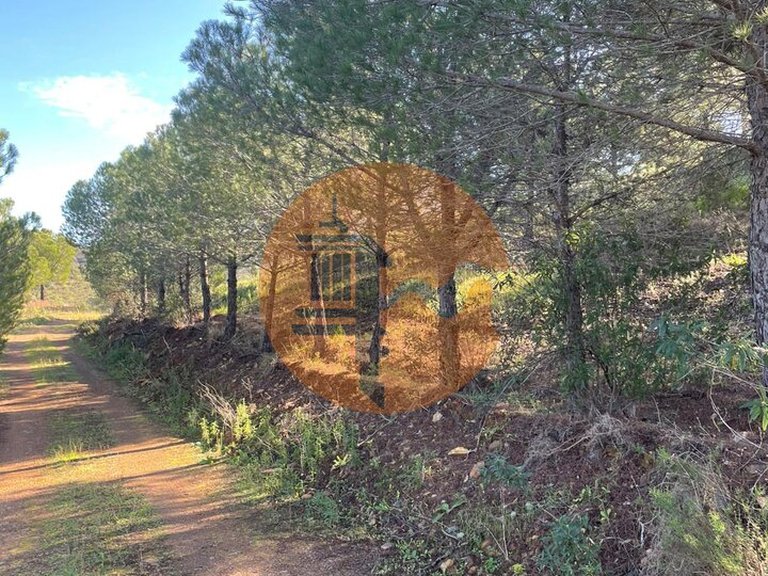 Plot for Sale in Odeleite, Castro Marim, Portugal 11