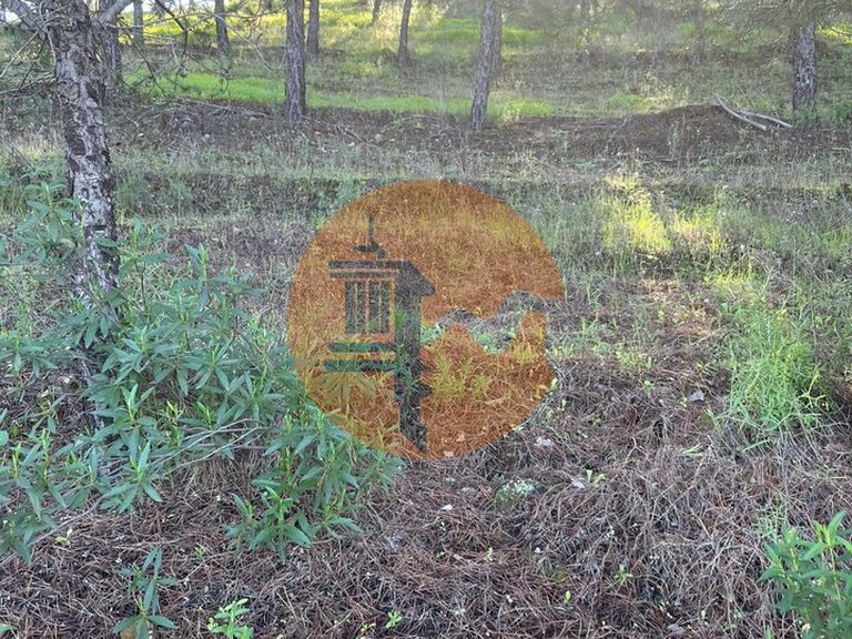 Plot for Sale in Odeleite, Castro Marim, Portugal 13